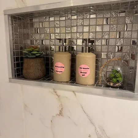 Apartmán Lila's - Proche Europa Park - Route Des Vins - Entre Strasbourg Et Colmar Sélestat